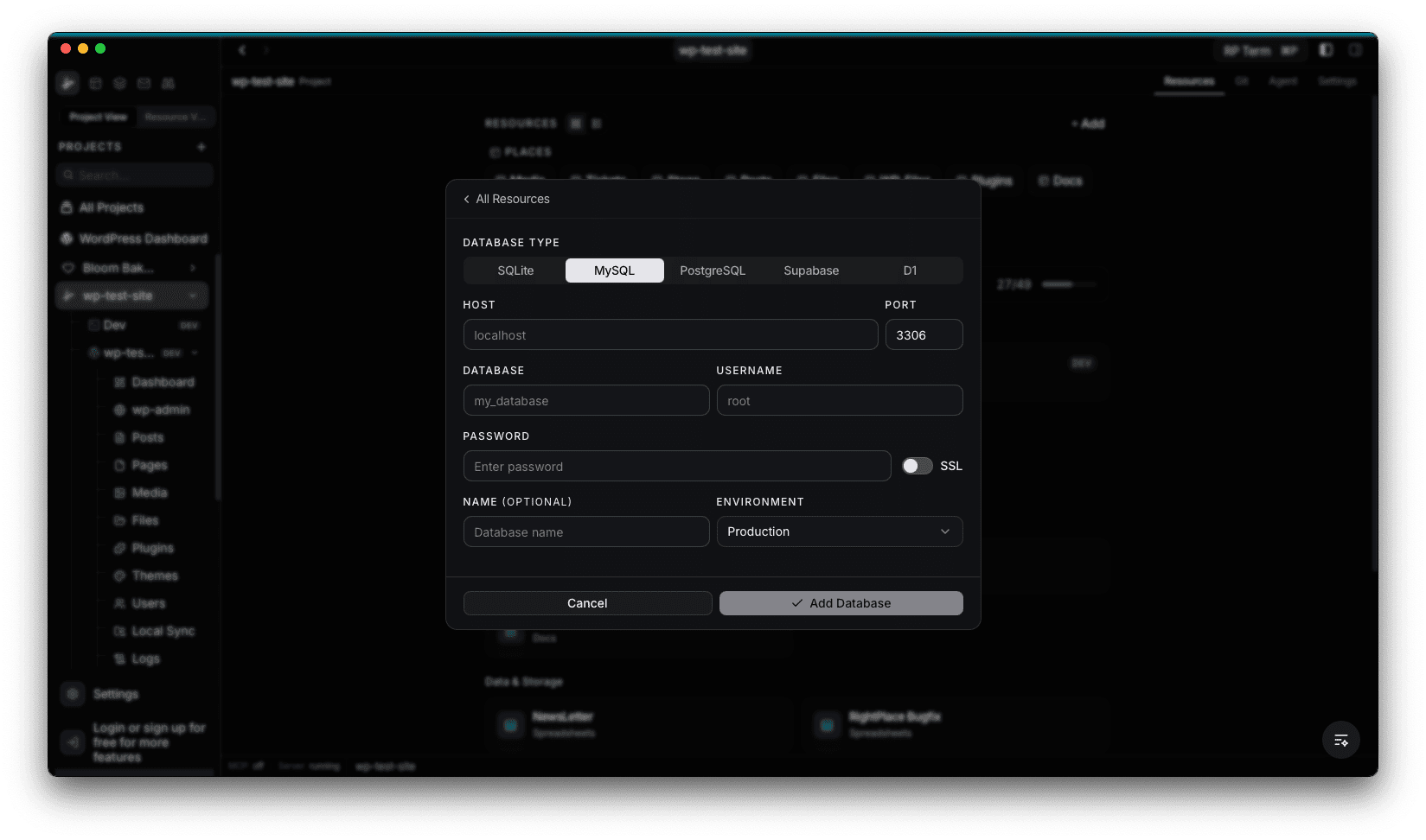 MySQL connection form with host, port, database, username, password, SSL toggle, name, and environment