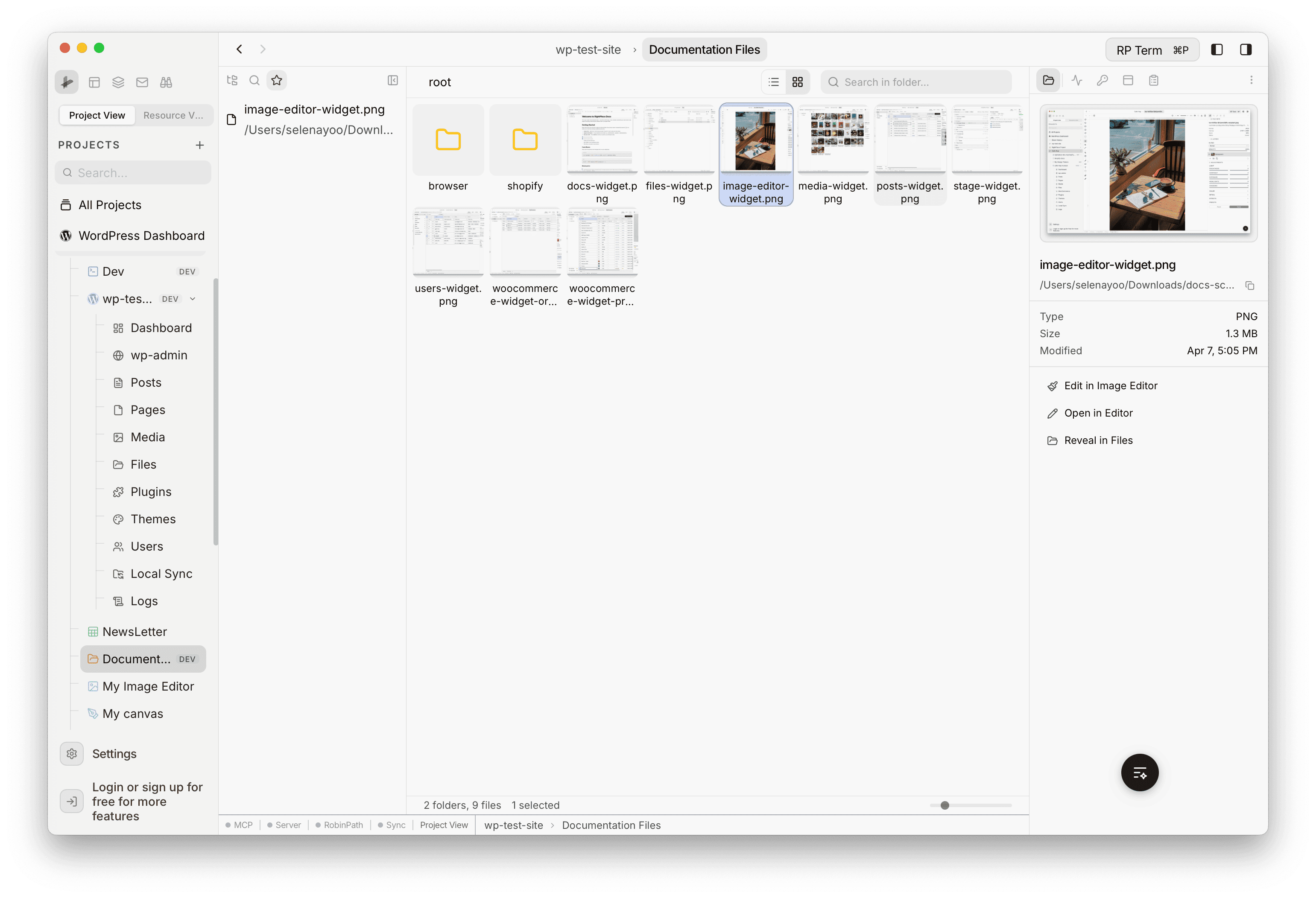 File preview sidebar showing an image thumbnail, file name, path, type, size, modified date, and action buttons for Edit in Image Editor, Open in Editor, and Reveal in Files