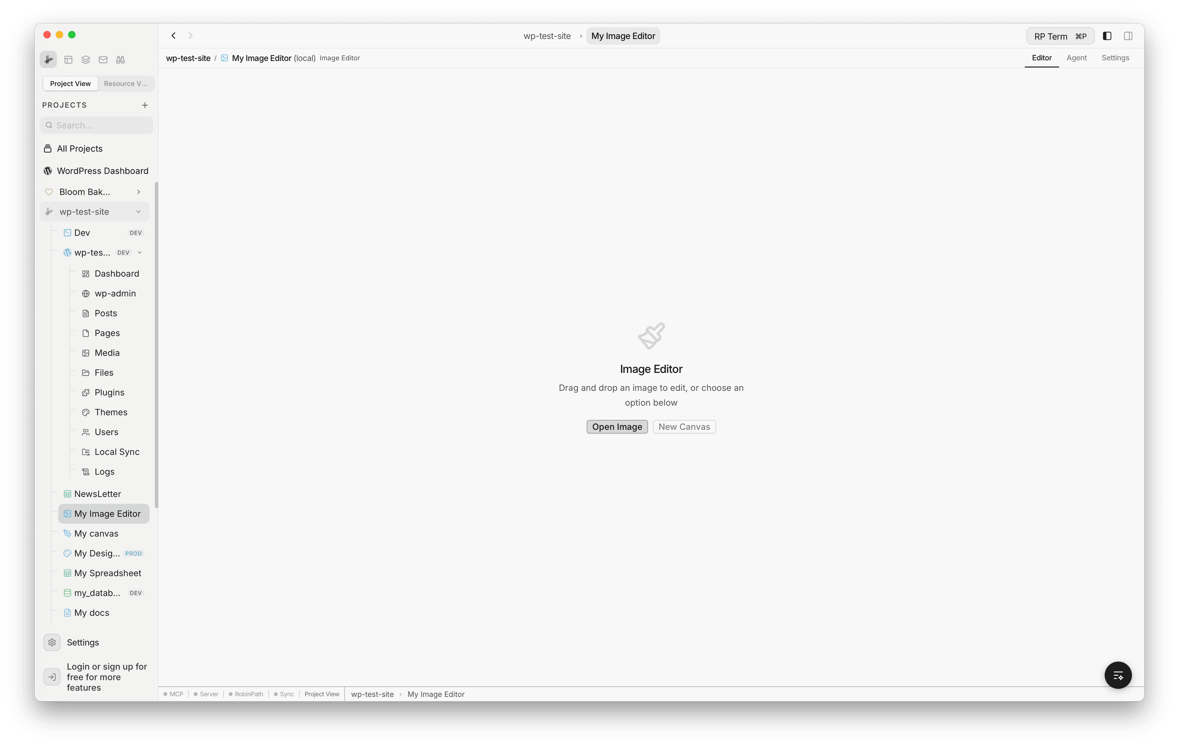 Image Editor empty state showing the drag-and-drop area with Open Image and New Canvas buttons