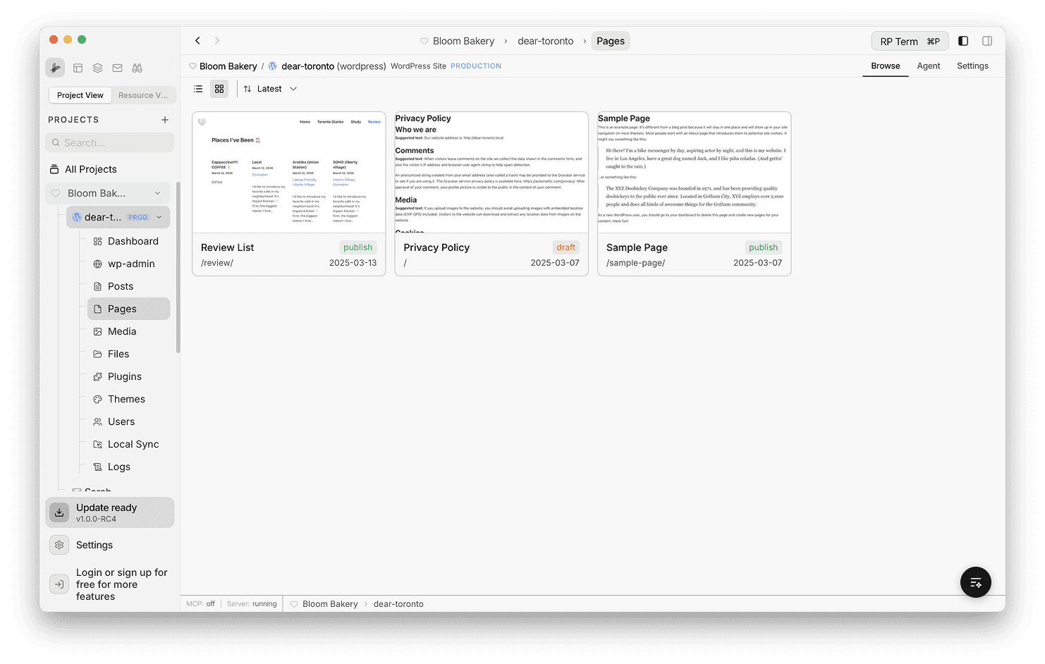 Pages card view showing page content previews with title, status badge, slug, and date on each card