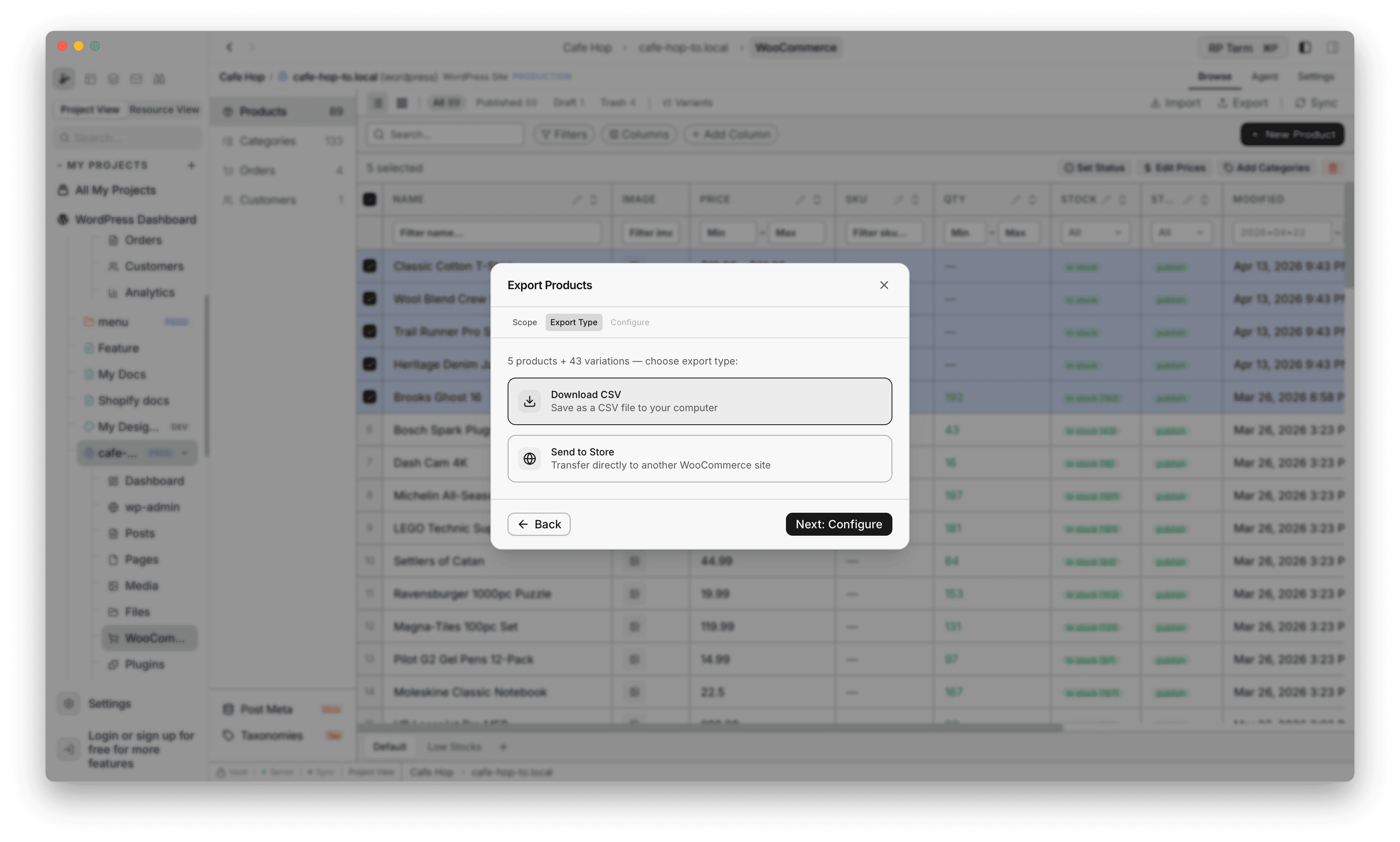 Export Products step Export type with Download CSV selected